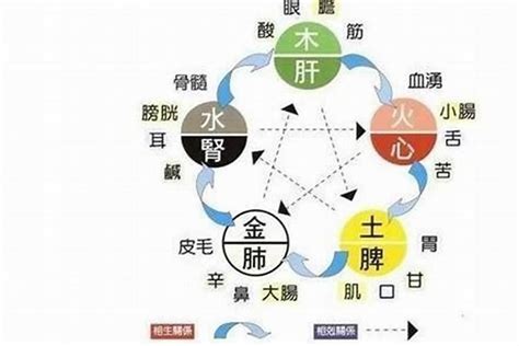 五行缺水ptt|五行缺水會怎樣？缺水命格與補救方法分享